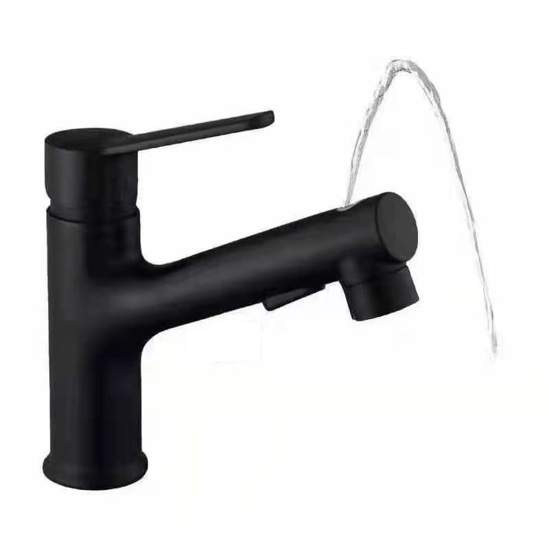 Mouthwash Basin Faucet Full Copper Basin Pull Hot Cold Double Outlet Faucet Black Wash Basin Retractable Pull Tapware Bathroom