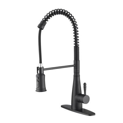 Stainless steel kitchen faucet