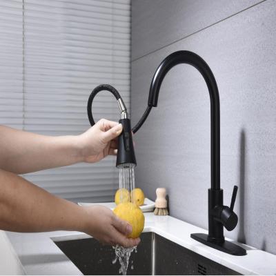 Stainless steel kitchen faucet