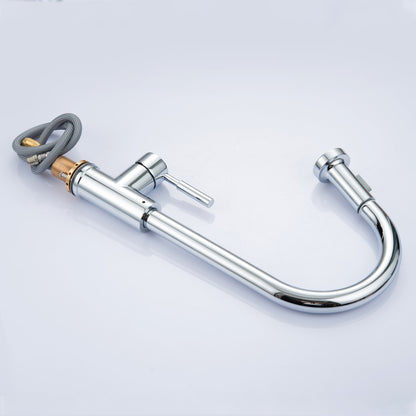 Kitchen Faucet