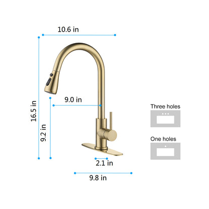 Kitchen Faucet with Pull Out Spraye