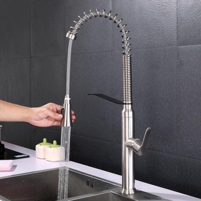 Stainless steel kitchen faucet