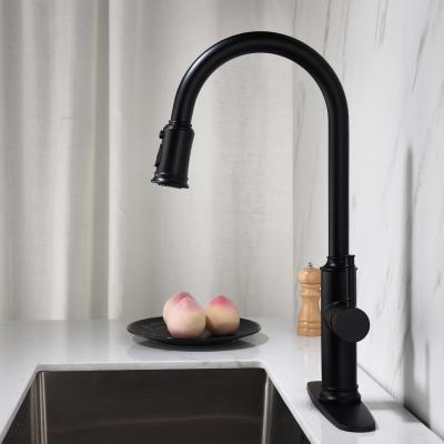 Stainless steel kitchen faucet