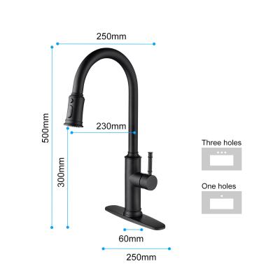 Stainless steel kitchen faucet
