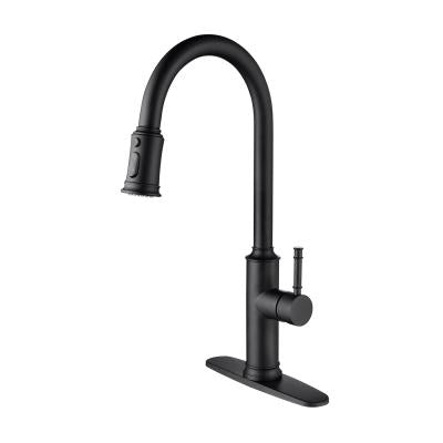 Stainless steel kitchen faucet